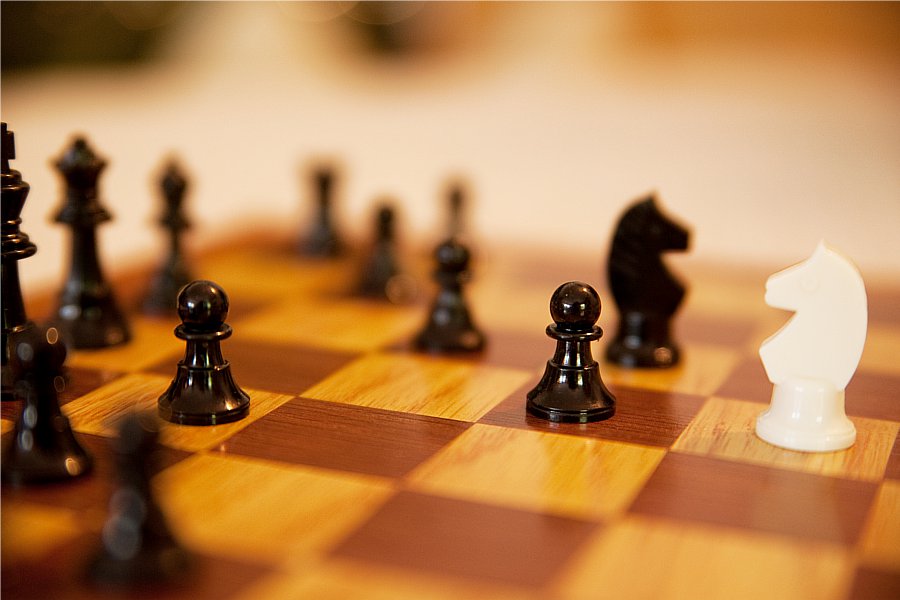 Schach Willeiter
